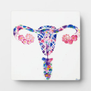 Uterus Fotoplaat