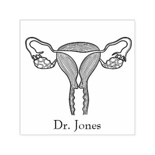 Uterus, menselijke organen die rubber zegels  zelfinktende stempel