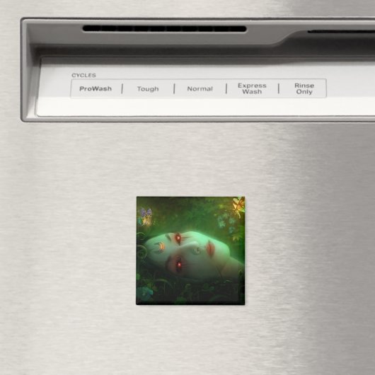 Utherworlds: Aadyasha Magneet (Insitu (Vaatwasser))