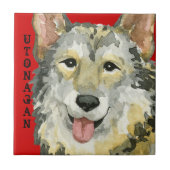 Utonagan-kleurenblok Tegeltje (Voorkant)