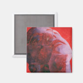 UV Head 2001 Magneet (Voorkant / Achterkant)