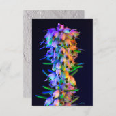 UV Ultra Violet Flowers Wenskaart (Voorkant / Achterkant)