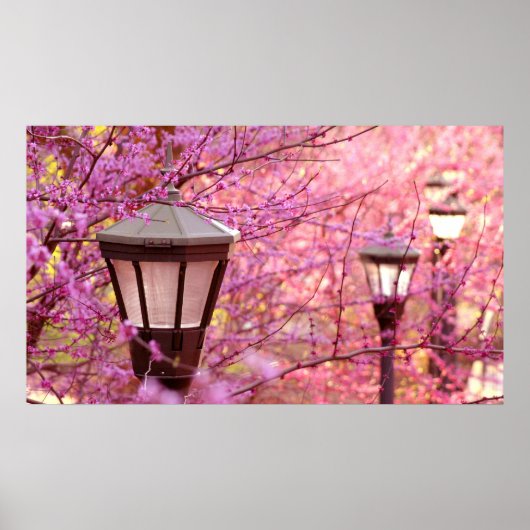 UVA-lampen Poster (Voorkant)