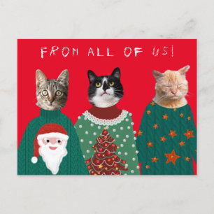 Uw 3 katten in het Ugly KerstSweaters Briefkaart