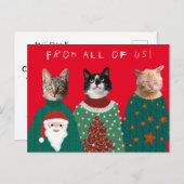 Uw 3 katten in het Ugly KerstSweaters Briefkaart (Voorkant / Achterkant)