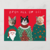 Uw 3 katten in het Ugly KerstSweaters Briefkaart (Voorkant)