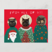 Uw 3 katten in het Ugly KerstSweaters Briefkaart (Voorkant)