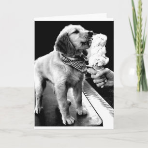 "UW 40ste" MET EEN PAAR IJSSCHEMA. Kaart