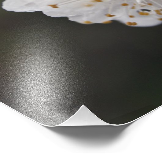 Uw aangepaste 12-inch x 16-inch fotouitbreiding foto afdruk (Hoek)