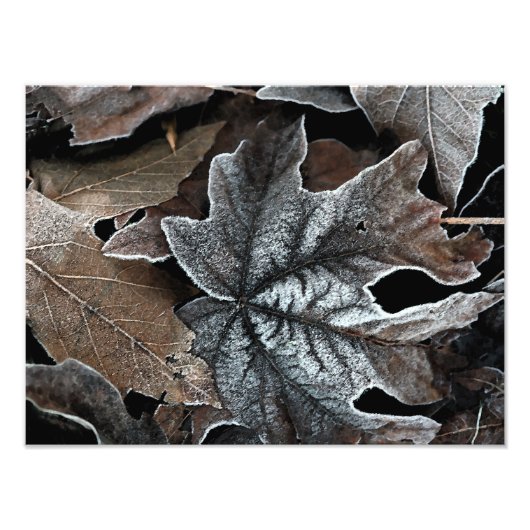 Uw aangepaste 16-inch x 12-inch fotouitbreiding foto afdruk (Voorkant)