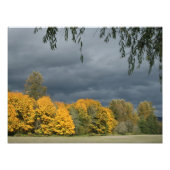 Uw aangepaste 16-inch x 12-inch fotouitbreiding foto afdruk (Voorkant)