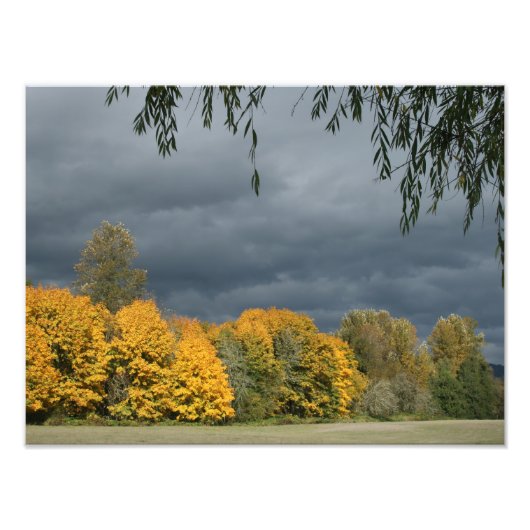 Uw aangepaste 16-inch x 12-inch fotouitbreiding foto afdruk (Voorkant)