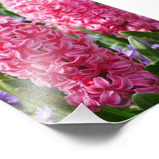 Uw aangepaste 5-inch x 7-inch fotouitbreiding foto afdruk (Hoek)