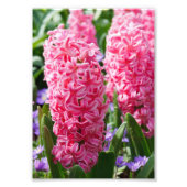 Uw aangepaste 5-inch x 7-inch fotouitbreiding foto afdruk (Voorkant)