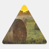 Uw aangepaste driehoek Stickers (Voorkant)