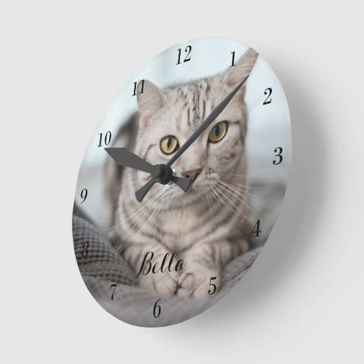 Uw aangepaste katfoto Persoonlijke eigenaar van he Ronde Klok (Hoek)