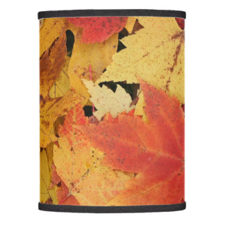 Uw aangepaste lampschaduw (alleen)