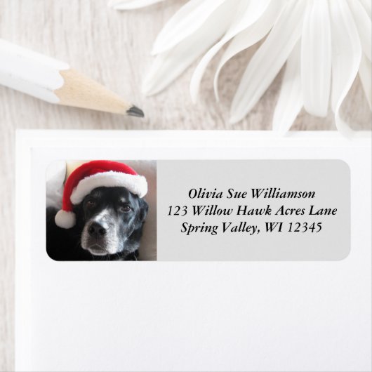 Uw aangepaste Santa Dog retour adreslabels Etiket (Insitu)