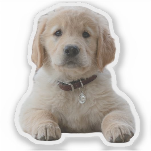 Uw Afbeelding hier Waterdichte individuele laptop Sticker (Voorkant)