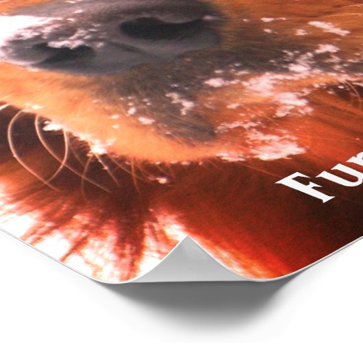 Uw beroemde Poster Pet (Hoek)