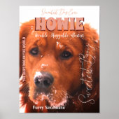 Uw beroemde Poster Pet (Voorkant)