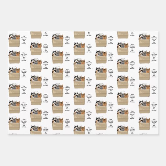 Uw Cat Lady Starter Kit Inpakpapier Vel (Voorkant 2)