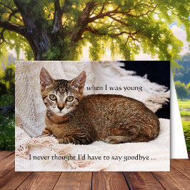 Uw Cat Photo Sympathie Wenskaart