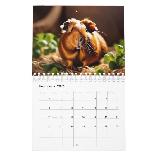 Uw cavia foto's maandelijks kalender (Feb 2026)