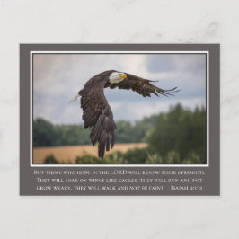 Uw CoIor Wings als Eagles Isaiah Bijbel van 40:31 Briefkaart