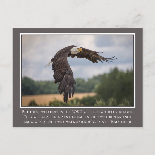 Uw CoIor Wings als Eagles Isaiah Bijbel van 40:31 Briefkaart (Voorkant)
