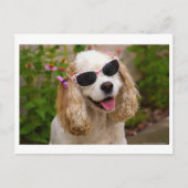 Uw dagelijkse Briefkaart ophelderen - Cocker Spani (Voorkant)