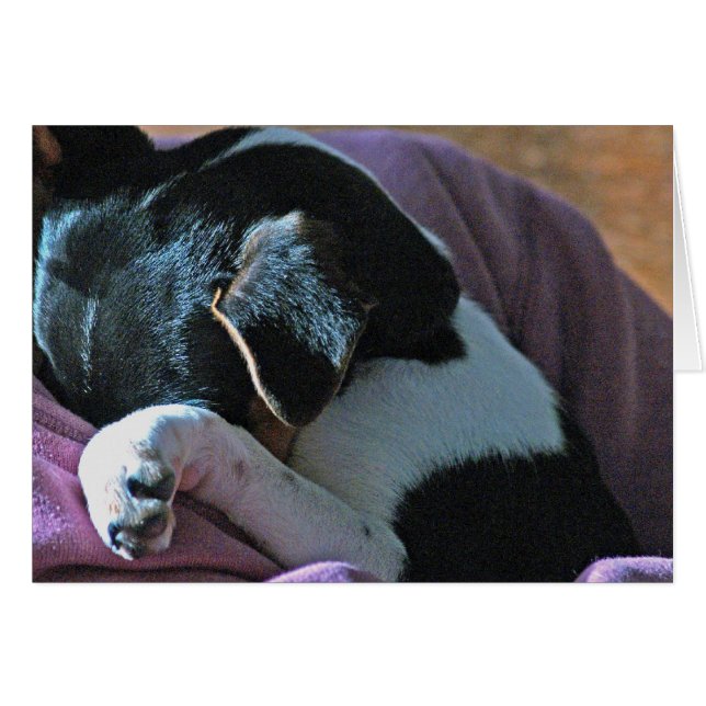 UW DENKEN (Voorkant Horizontaal)