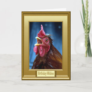 Uw eieren zijn klaar! kaart