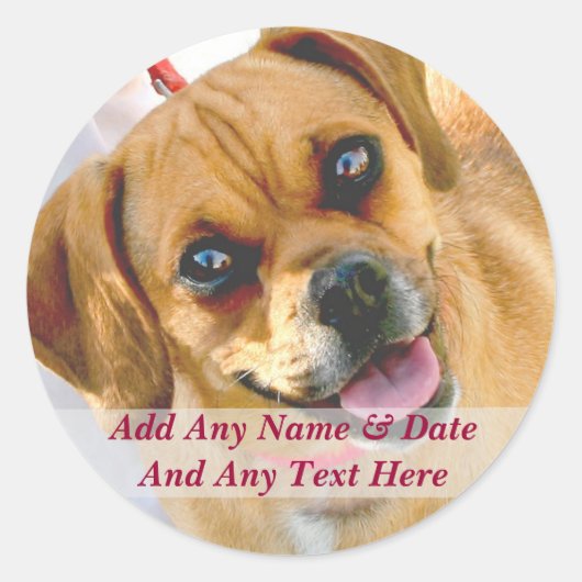 Uw eigen foto en aangepaste tekst Stickers (Voorkant)