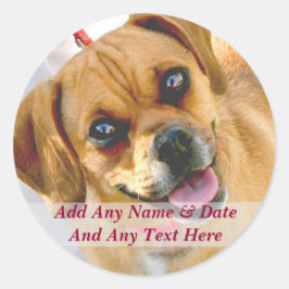 Uw eigen foto en aangepaste tekst Stickers