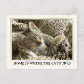 Uw Foto Cute Kitten Nieuw Adres Briefkaart (Voorkant)