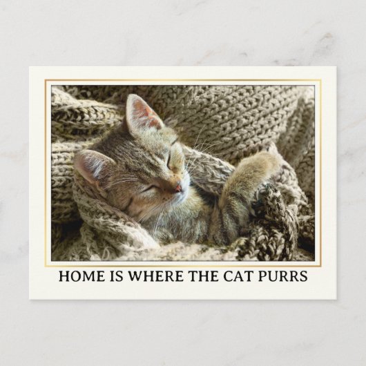 Uw Foto Cute Kitten Nieuw Adres Briefkaart (Voorkant)