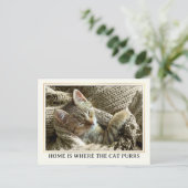 Uw Foto Cute Kitten Nieuw Adres Briefkaart (Staand voorkant)