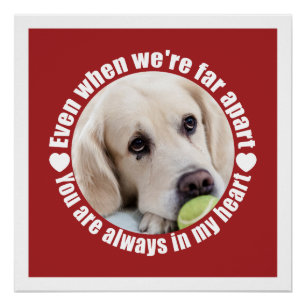 UW FOTO Far Apart Love Custom poster