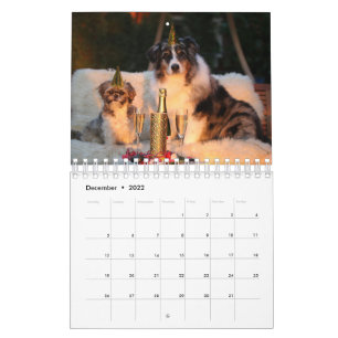 Uw foto hier - Aangepaste Dog Photo Calendar Kalender