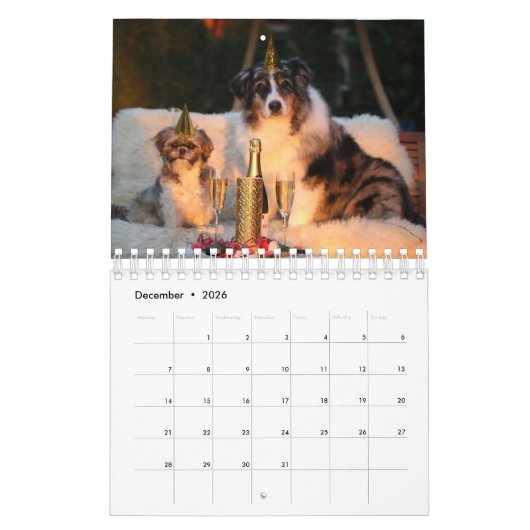 Uw foto hier - Aangepaste Dog Photo Calendar Kalender (Dec 2026)