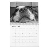Uw foto hier - Aangepaste Dog Photo Calendar Kalender (Feb 2026)
