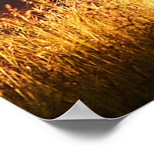 Uw foto hier poster (Hoek)