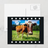 UW FOTO in briefkaart "filmstrip" (Voorkant / Achterkant)