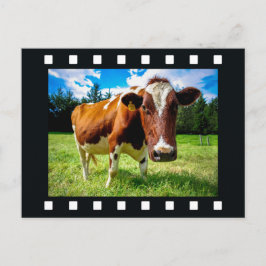 UW FOTO in briefkaart "filmstrip"