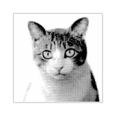 UW FOTO KAT PET GEPERSONALISEERD RUBBER STEMPEL (Afrduk)