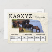 Uw foto Nebraska Shaped Cutout Custom QSL Briefkaart (Voorkant / Achterkant)