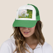 Uw foto op een Pet (In situ)