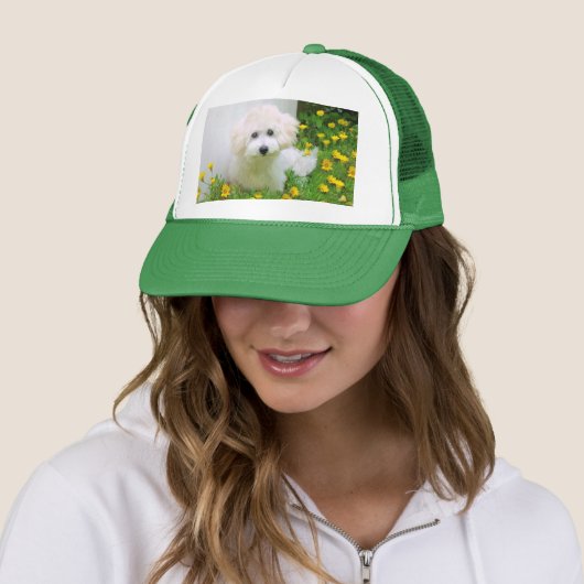 Uw foto op een Pet (In situ)