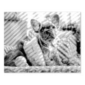 Uw foto op maat rubberstempel (Afrduk)